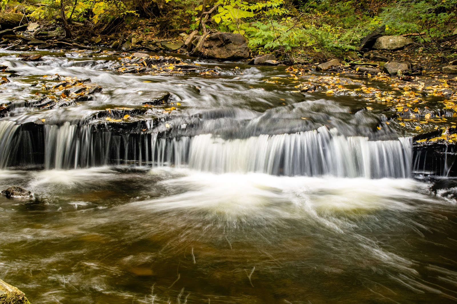 Ricketts Glen State Park