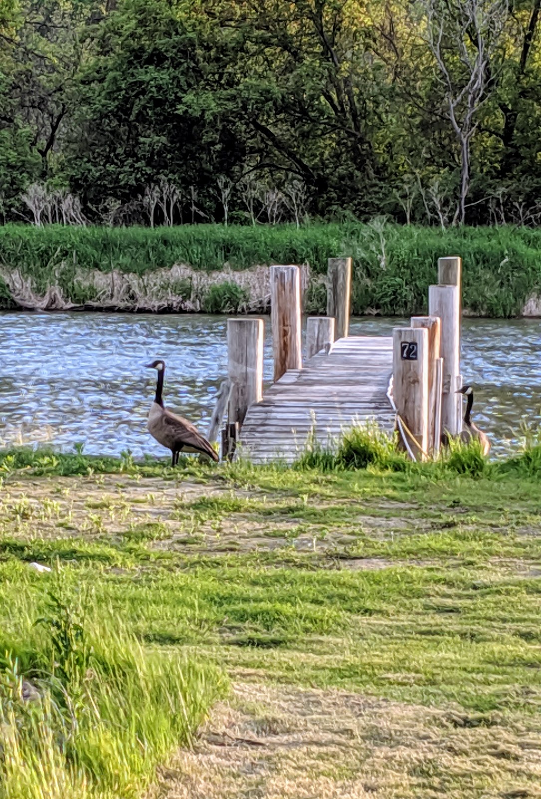 Marina Park and Campground