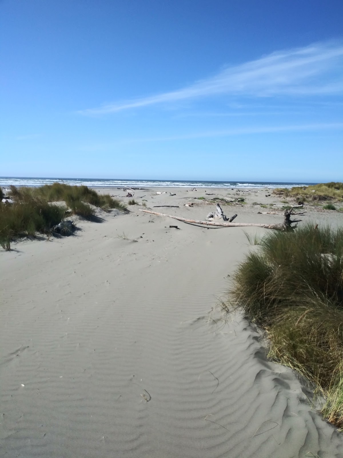 Clam Beach State Campground