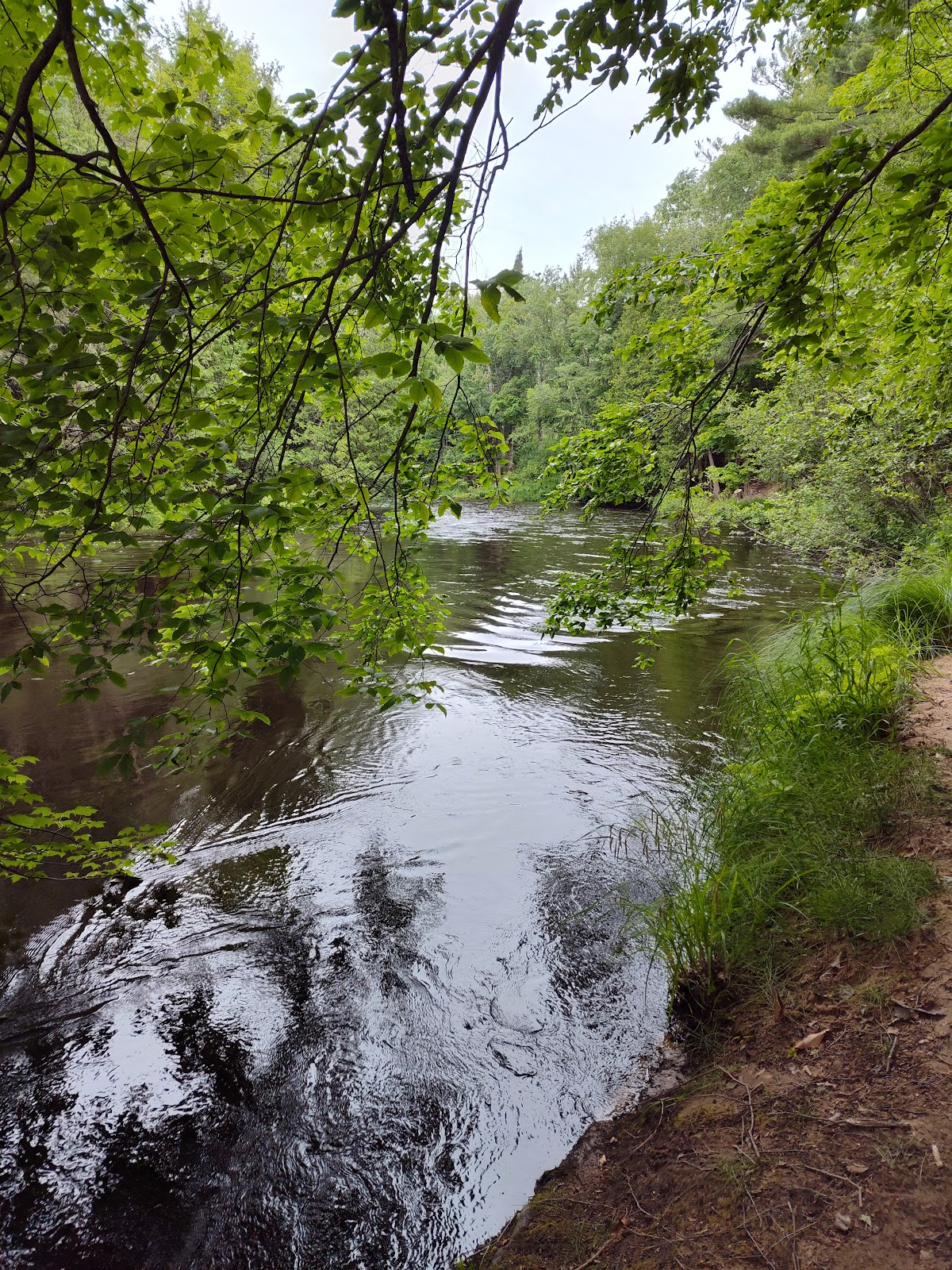 Big Cedar Campground
