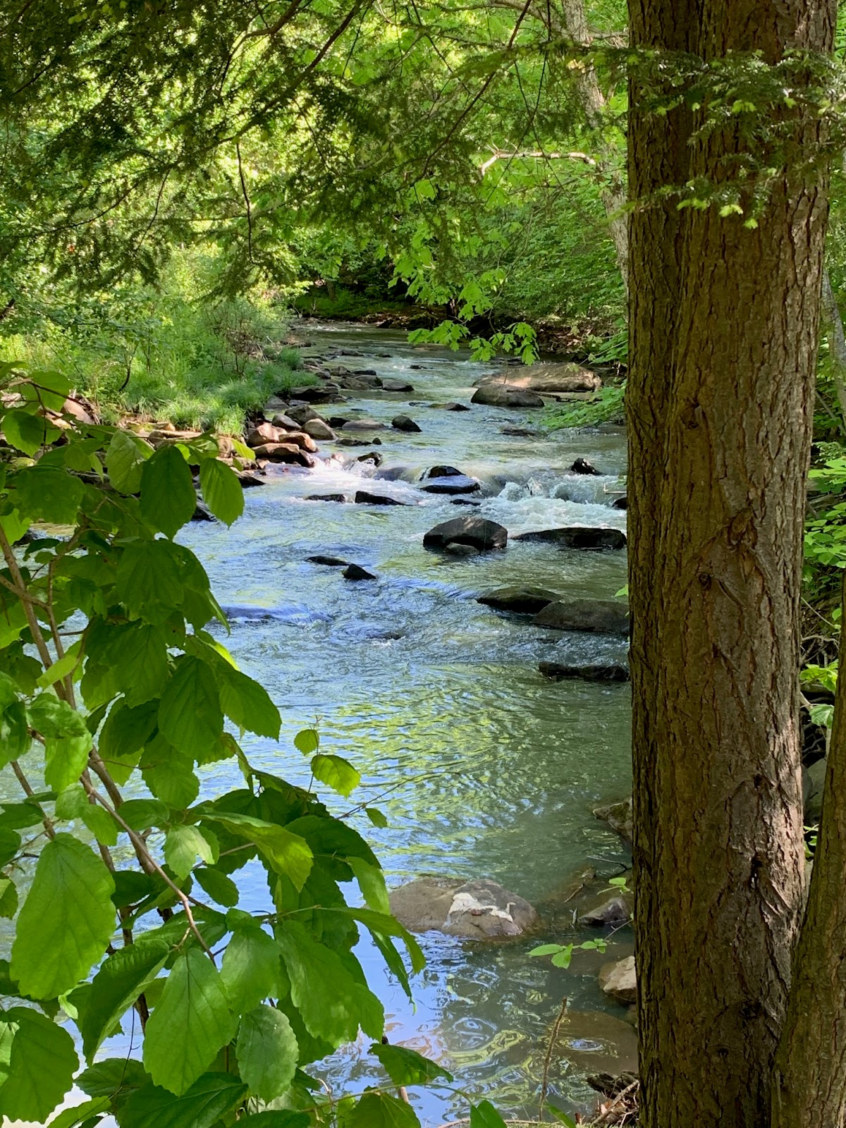 Yellow Creek Campground