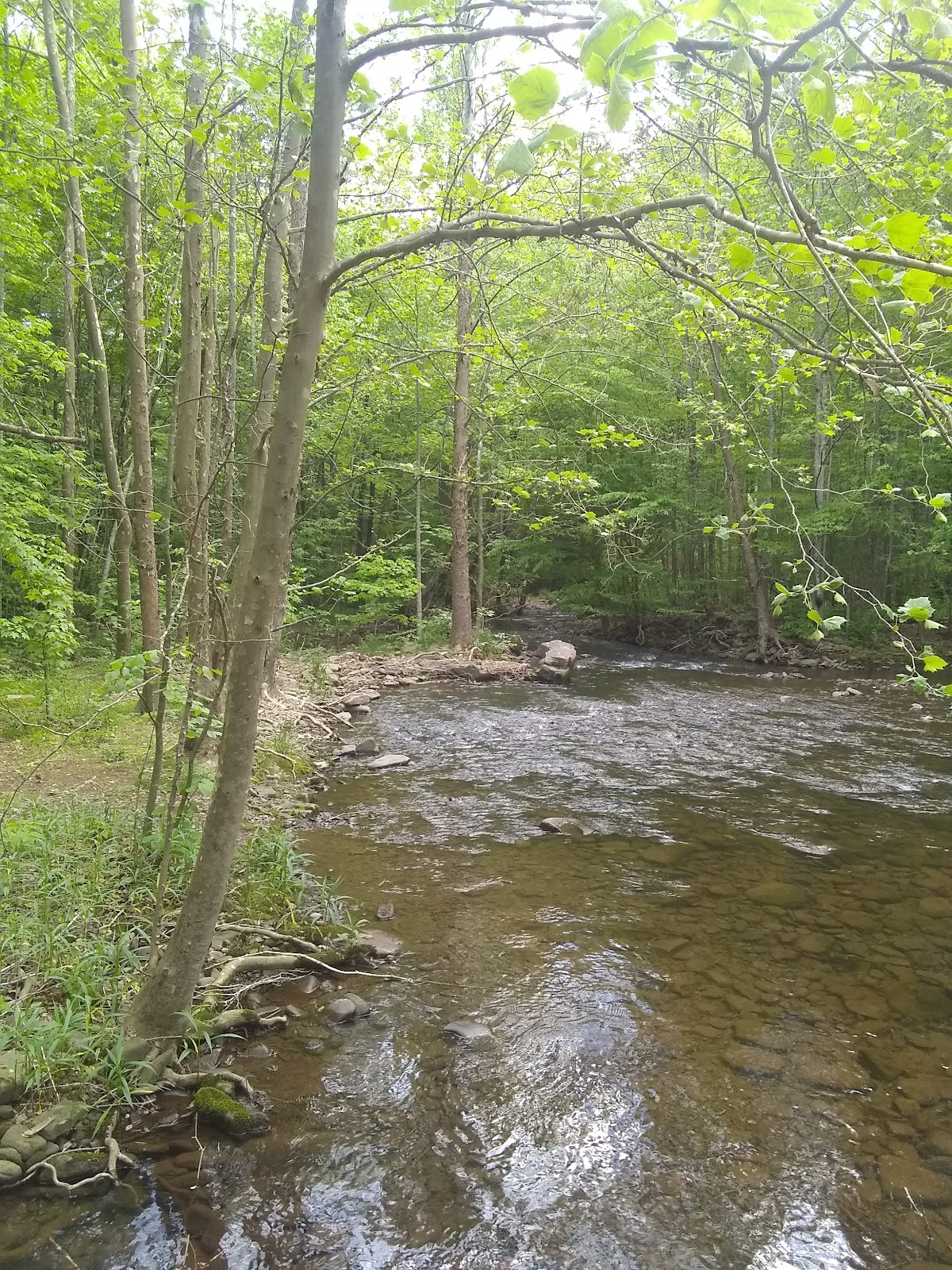 Hone Quarry Campground