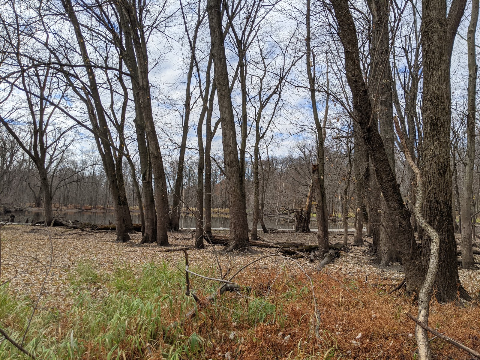 Pecatonica River Forest Preserve