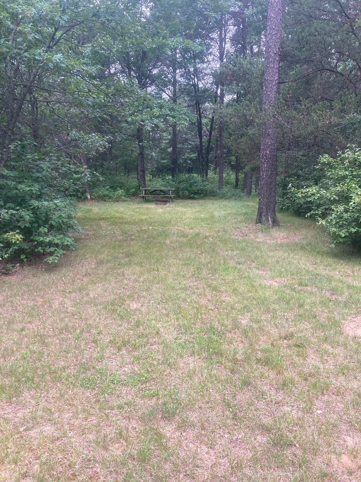 Moonlite Trails Campground LLC