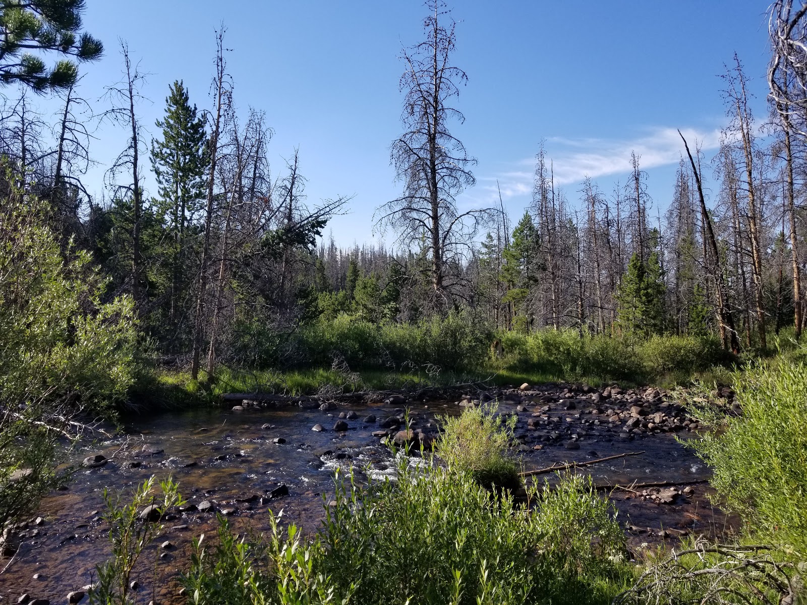 Henrys Fork Trailhead Campground