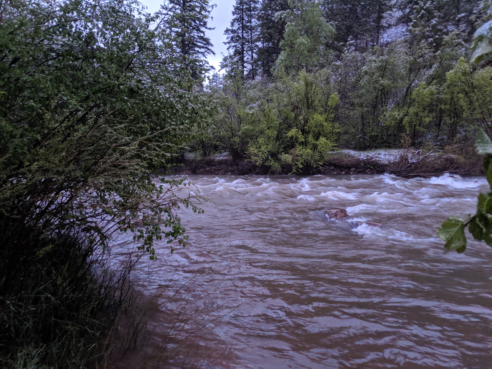 Lower Beaver Campground