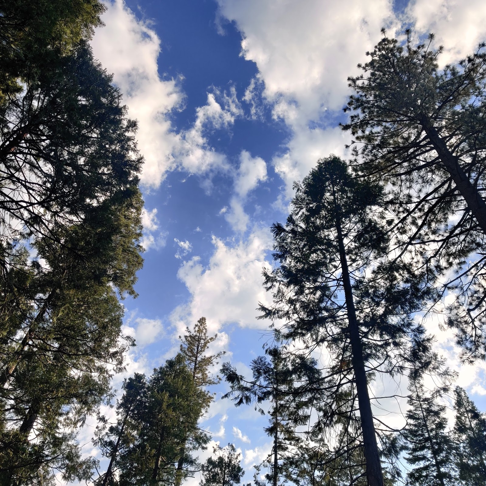 Landslide Campground