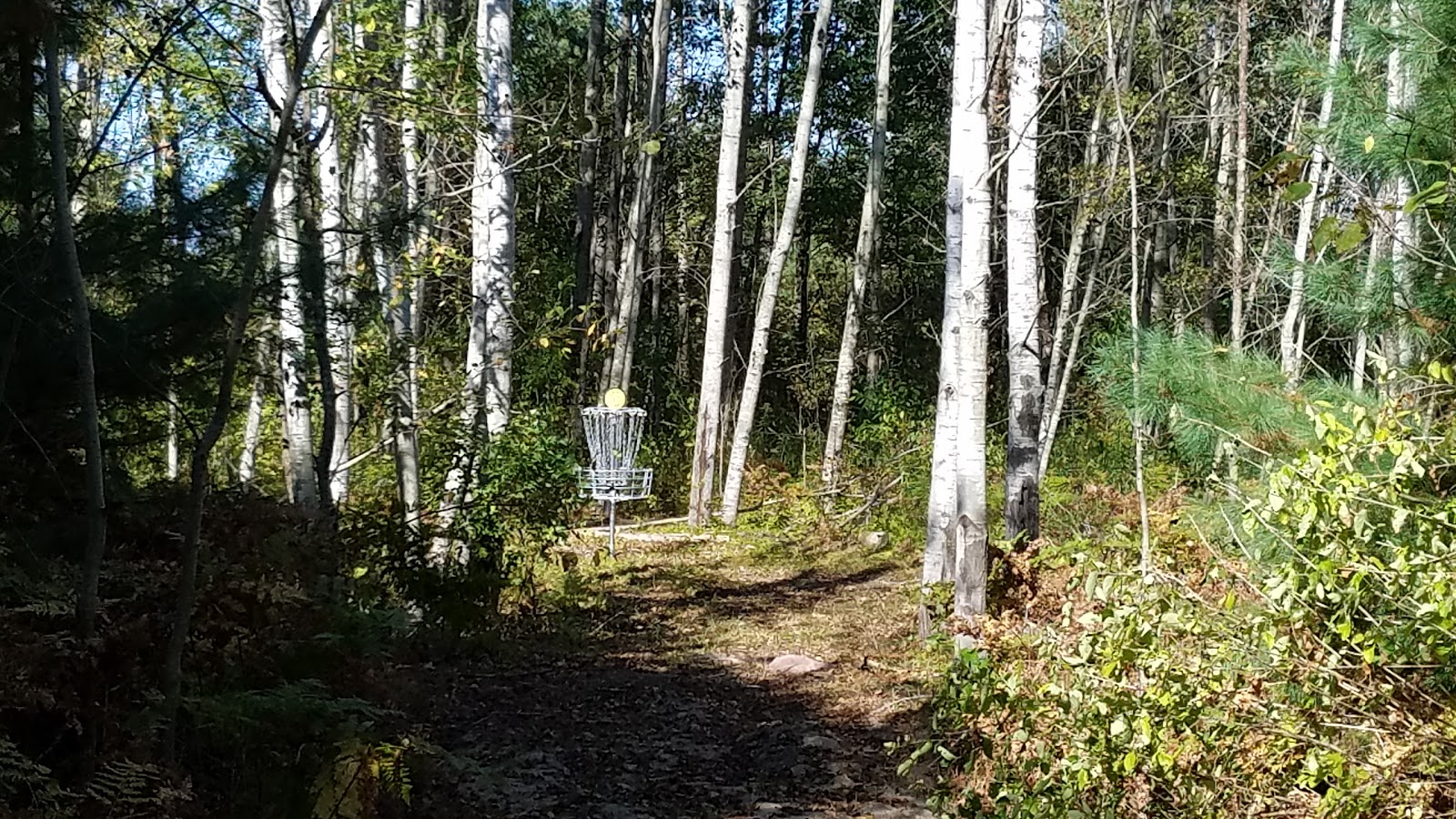 Maple Grove City Park