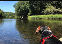 Ouachita River Haven Resort