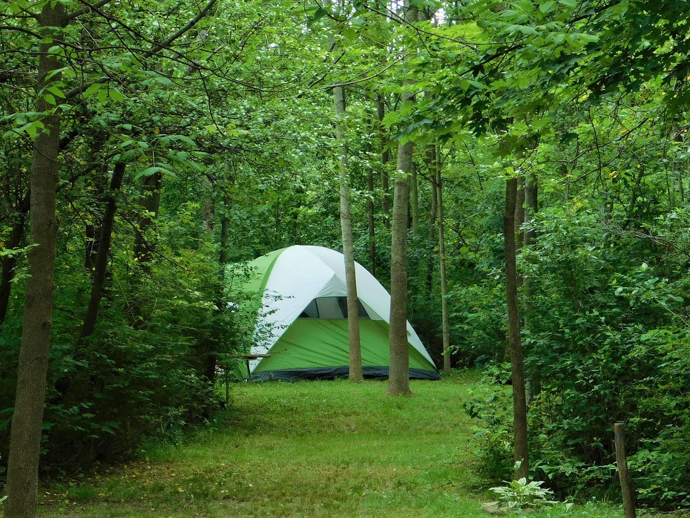 Cherry Hill Campground