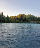 Crooked Creek Rv Park & Guide Service