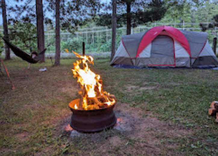 Tippy Dam Road Cabin and Campground