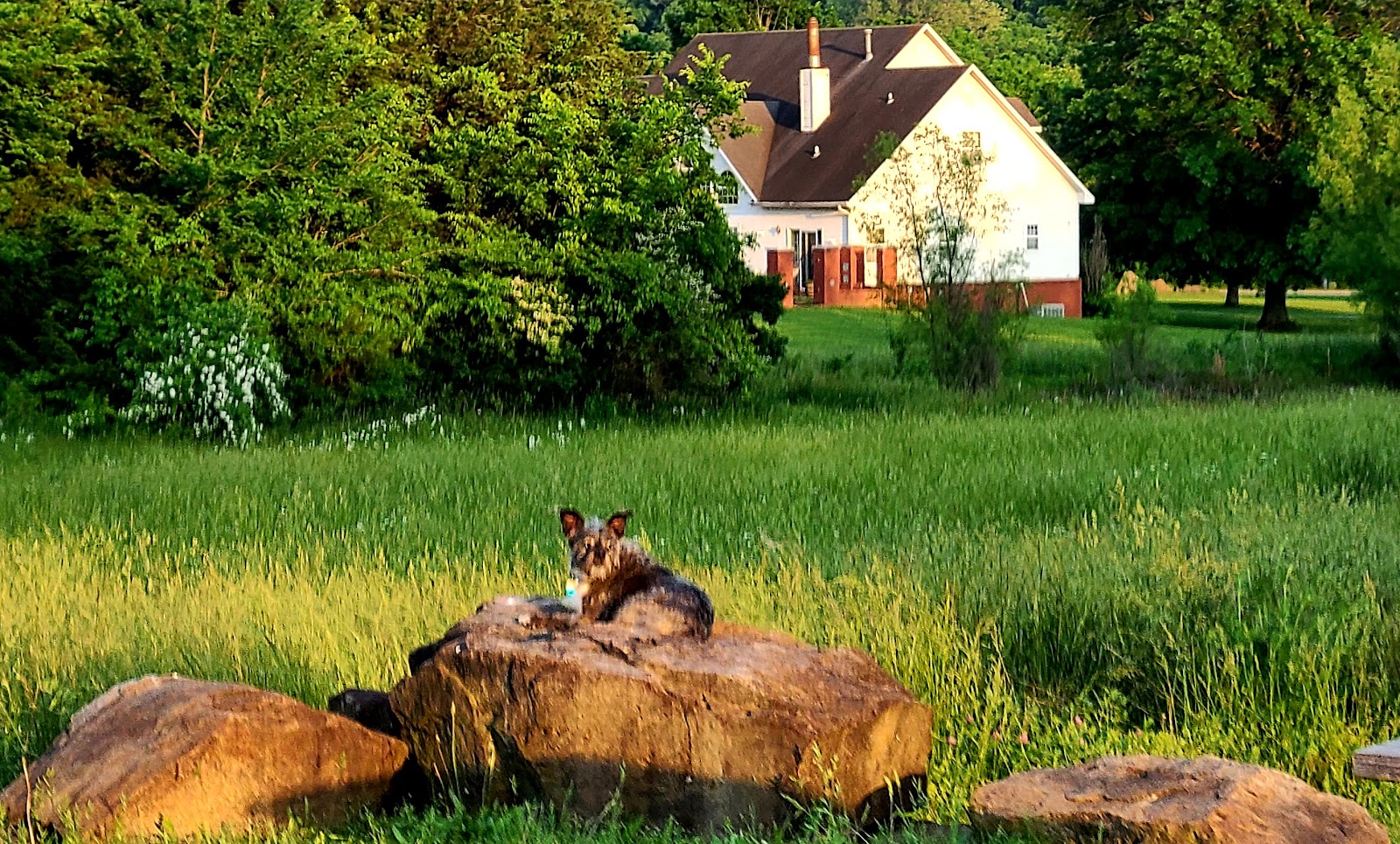 Cowpatty RV Park & Campground