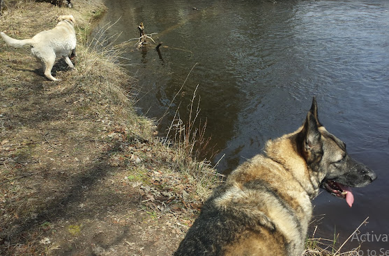 Bowman Bridge River Access