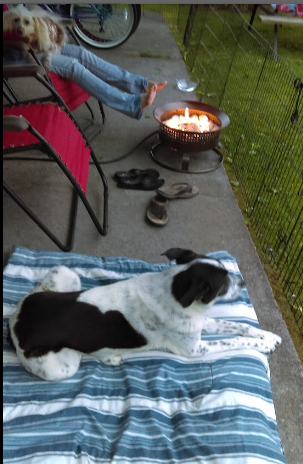 Down By The River Campground