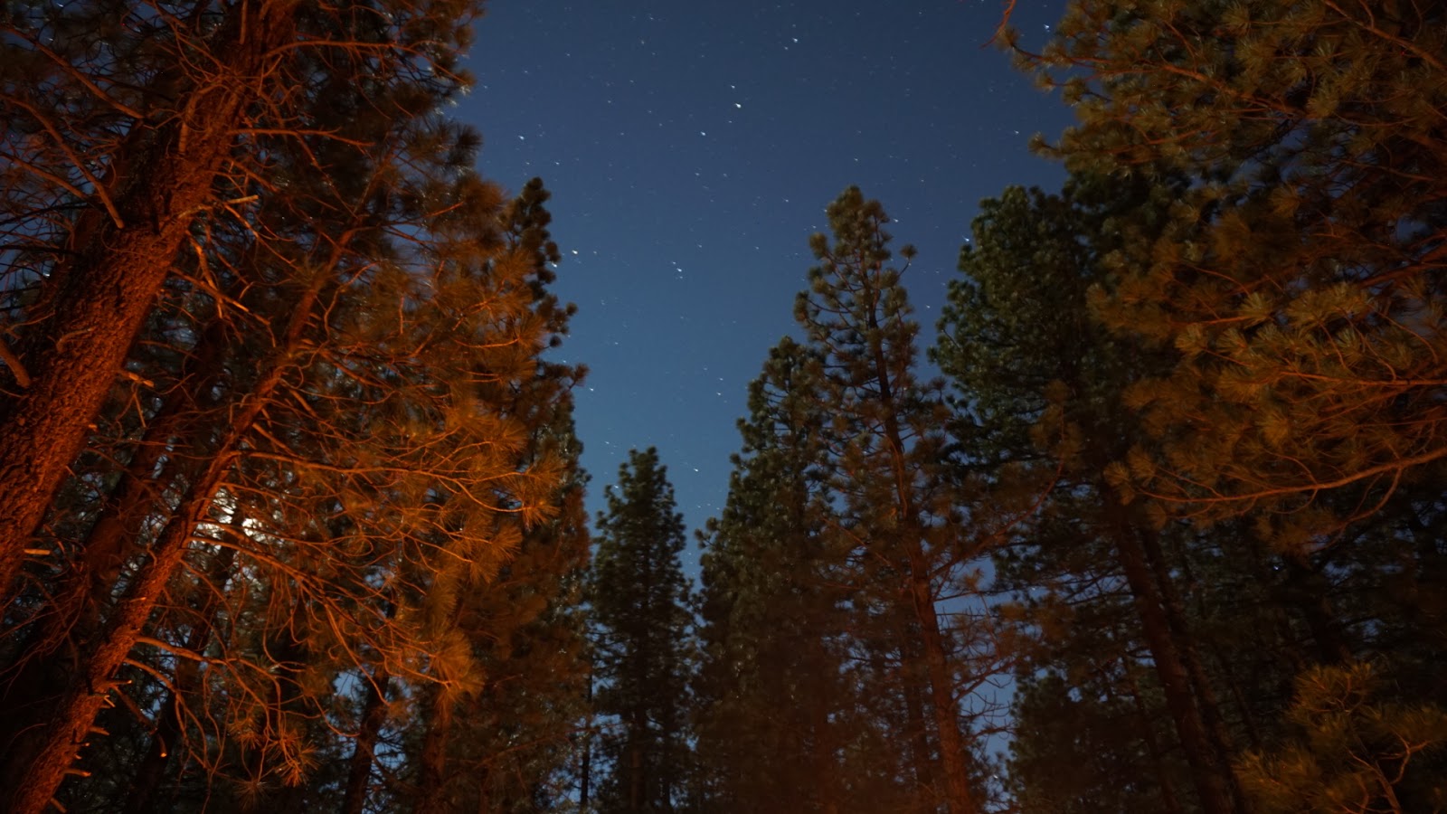 Pine Glen Campground