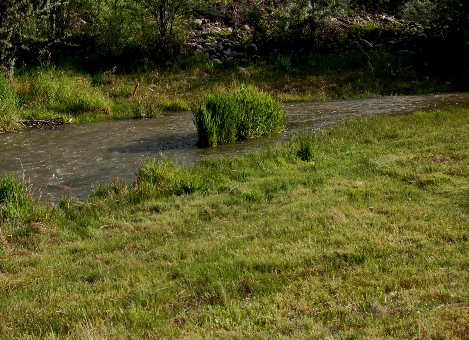 Glenwood Springs West/Colorado River KOA Holiday