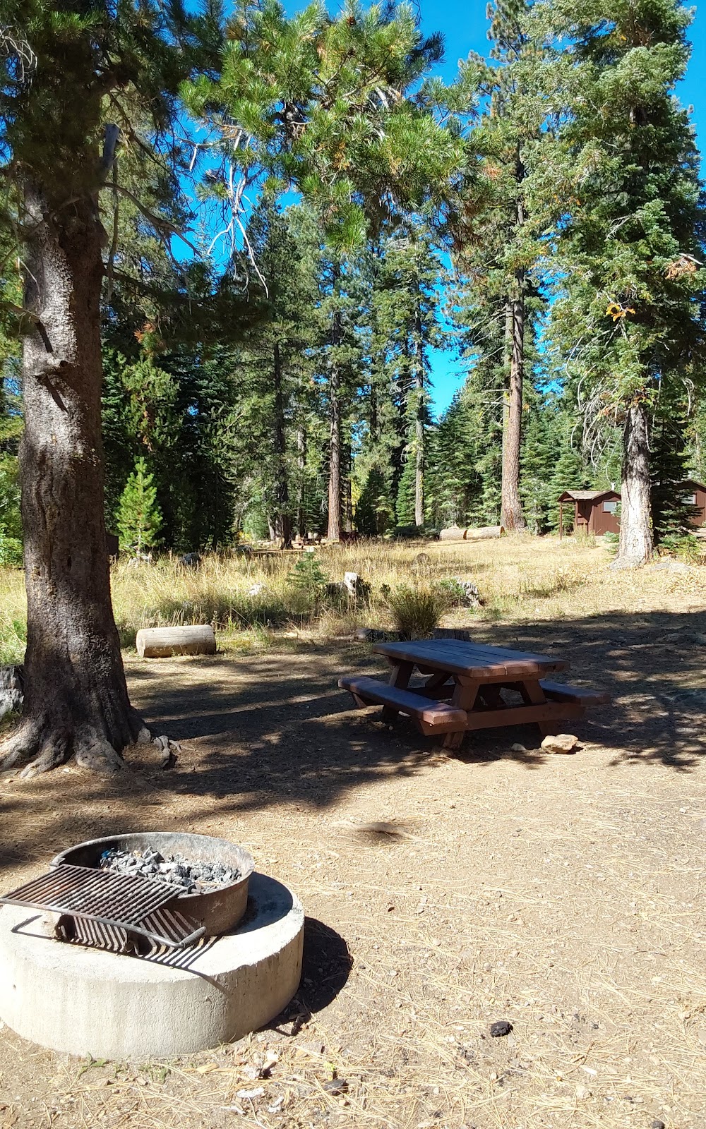 Salmon Creek Campground