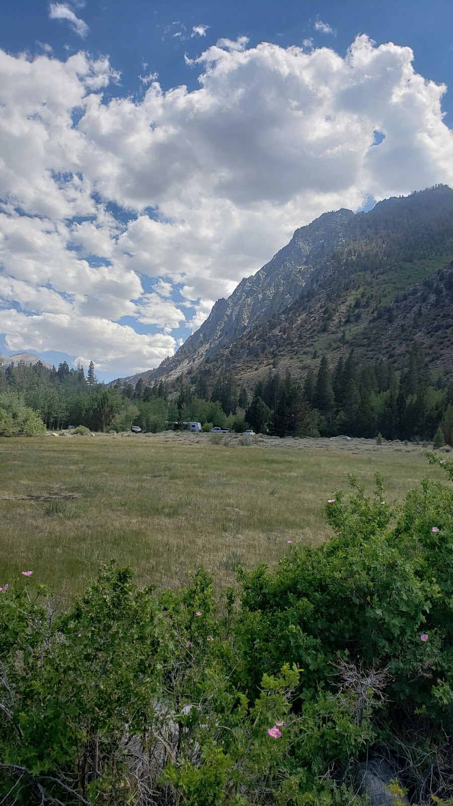 Iris Meadow Campground