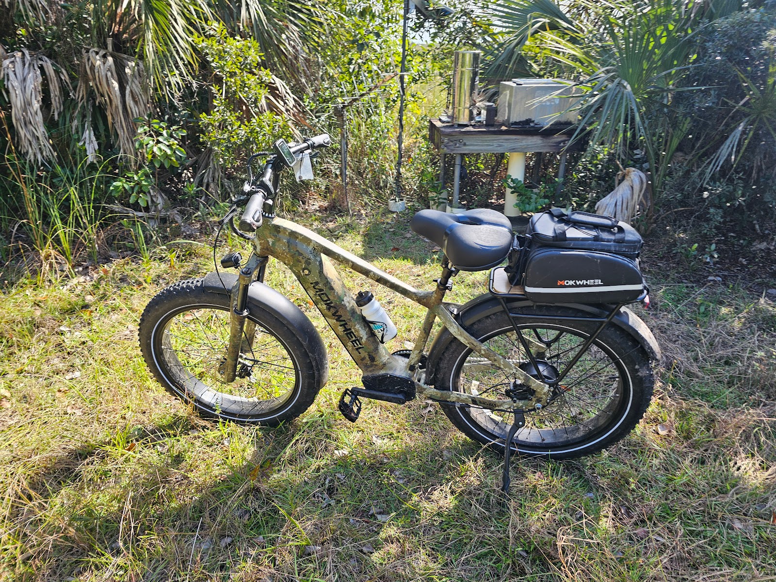 Backcountry Old Ingraham - Everglades National Park