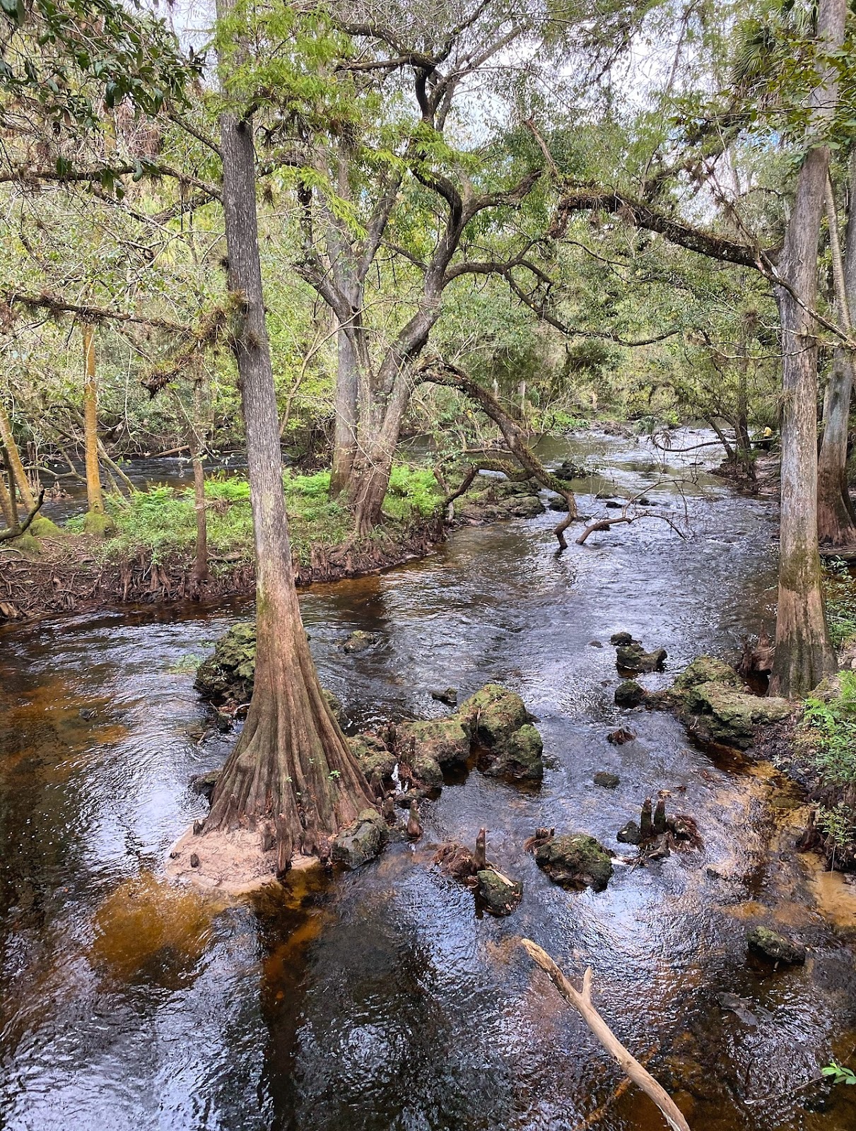 Hillsborough River Campground