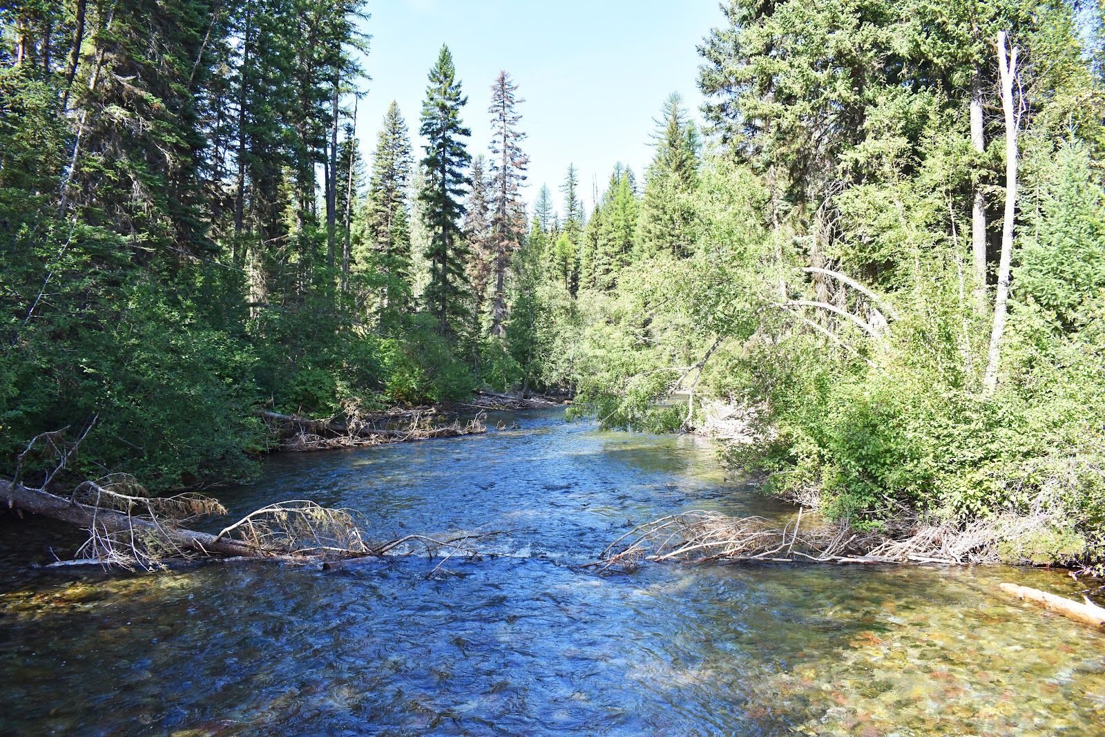 Kintla Lake Head Campground