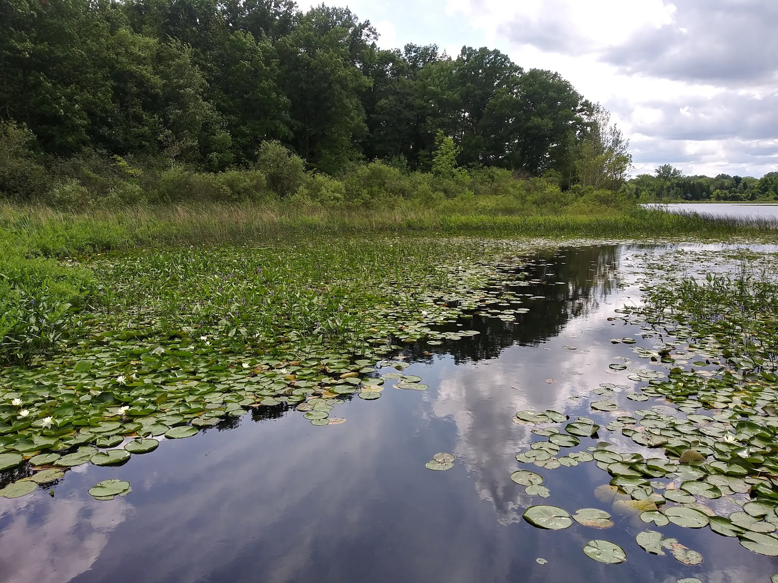 Highland Recreation Area