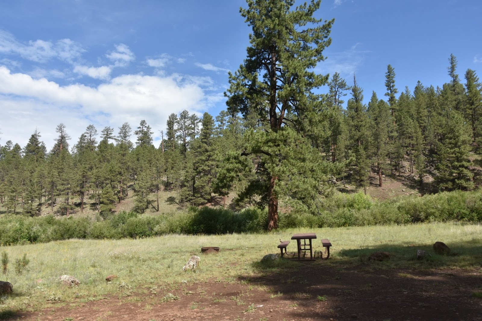 Buffalo Crossing Campground