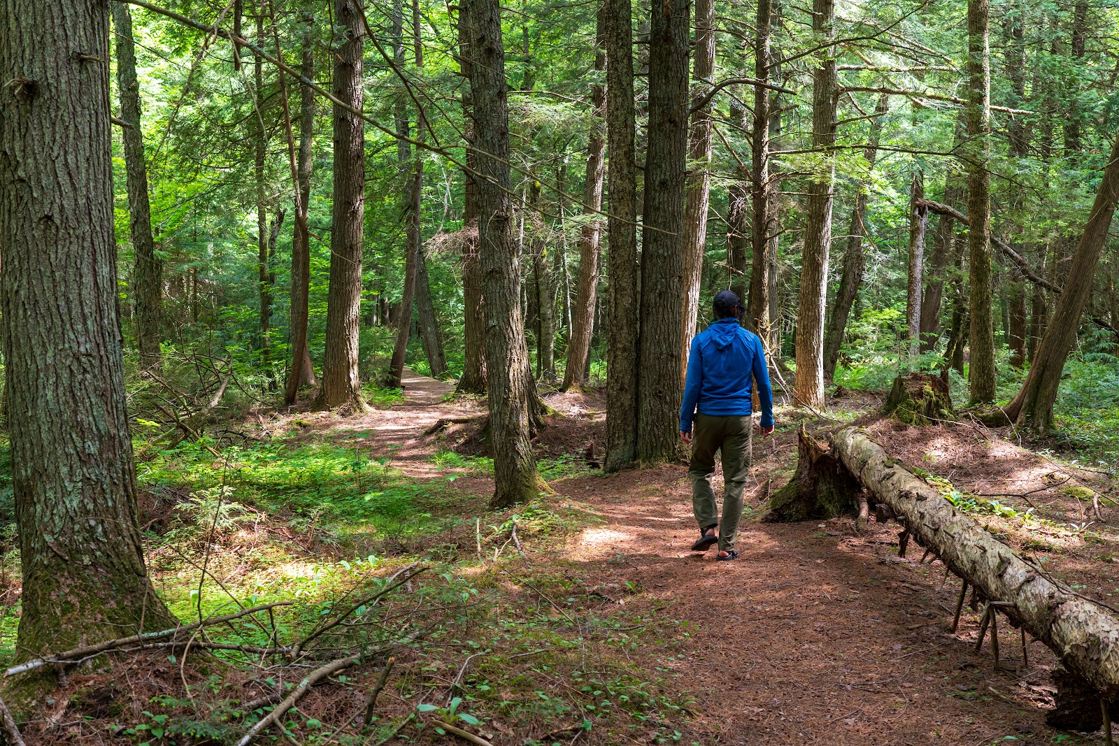 Imp Lake NF Campground