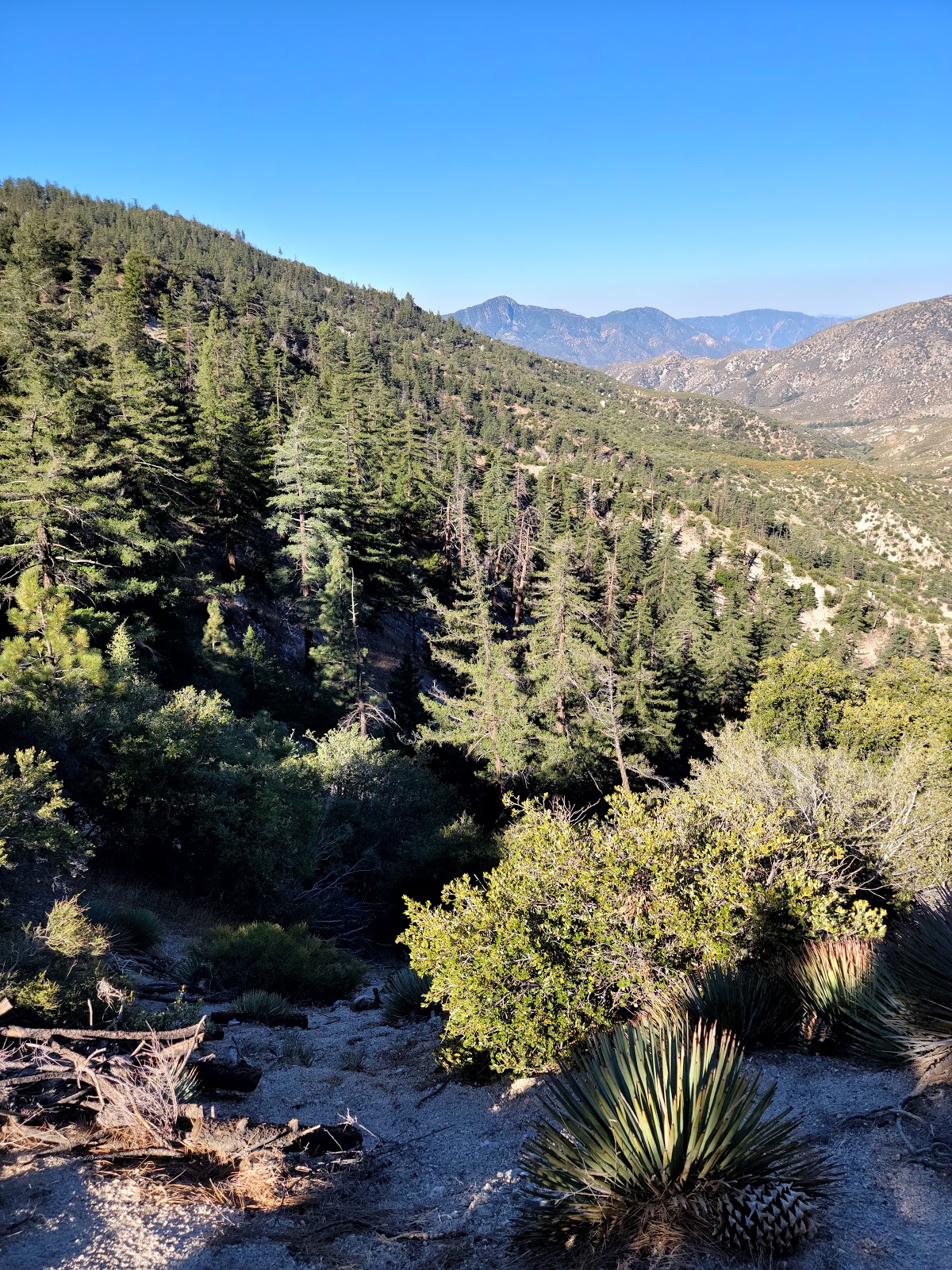 Chilao Recreation Area