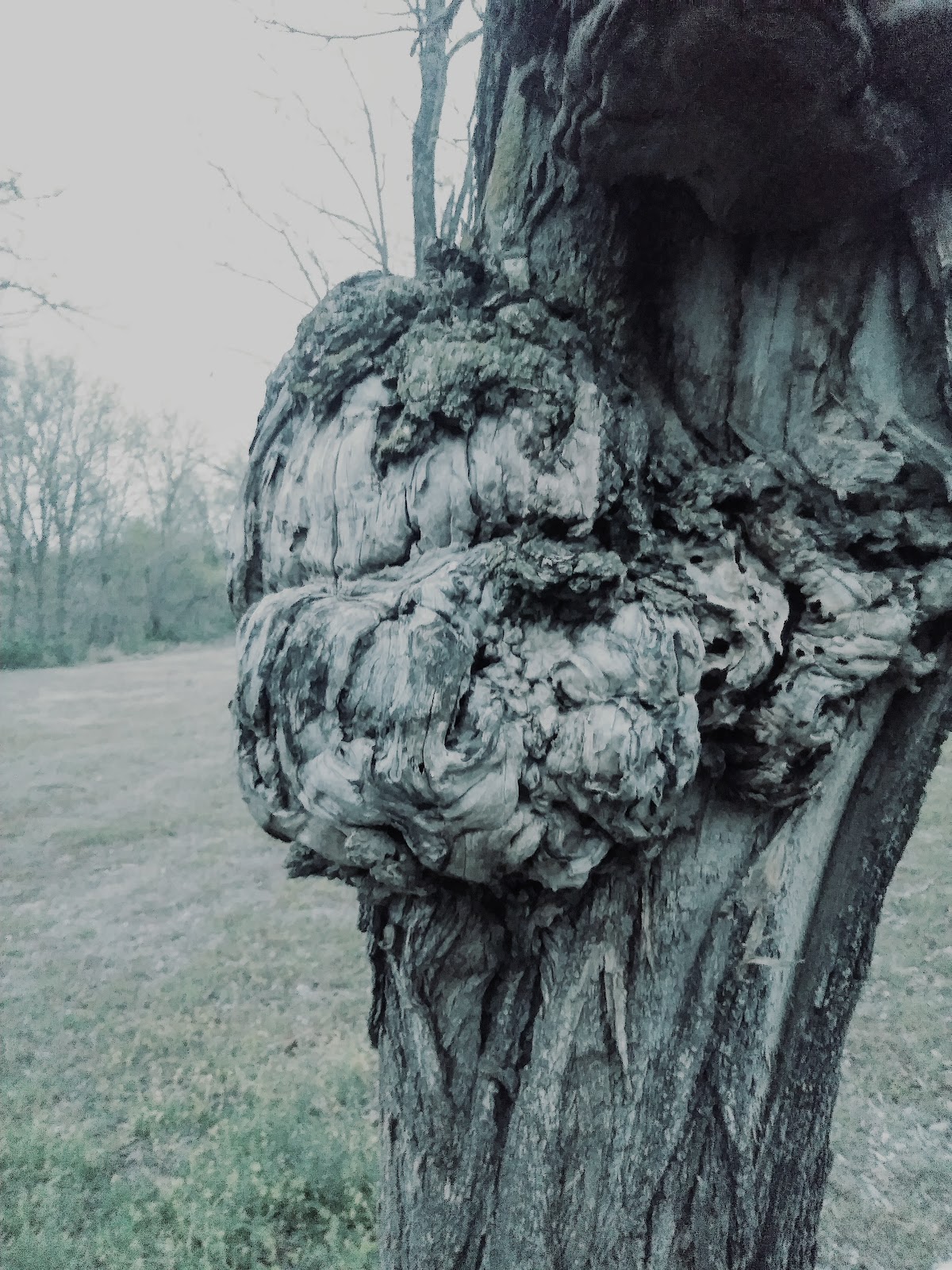 Spring Creek Campground