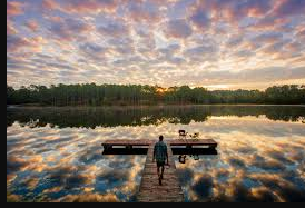 Gordonia-Alatamaha State Park