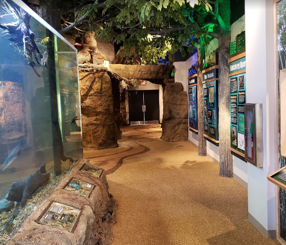 Mammoth Spring State Park