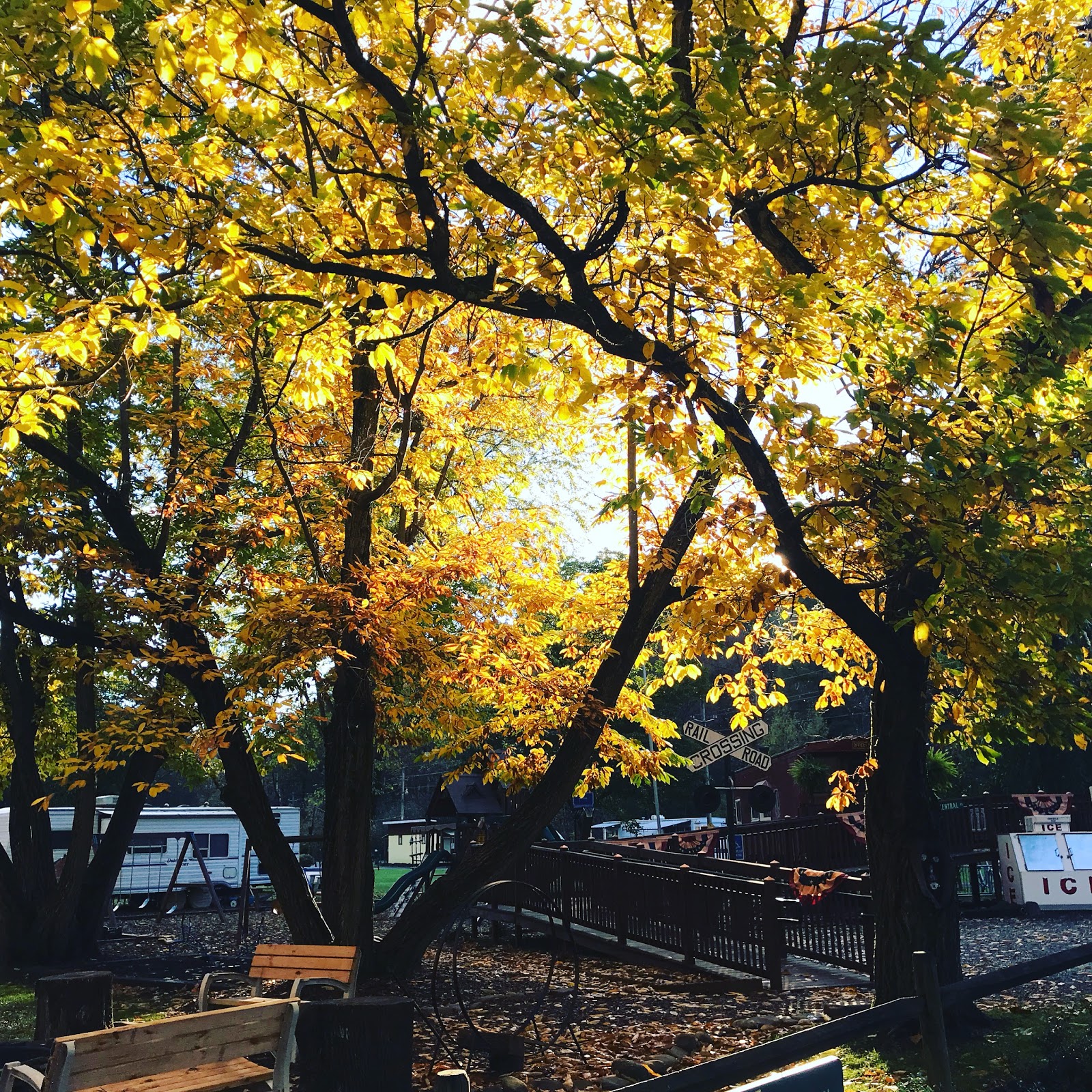 Pettecote Junction Campground