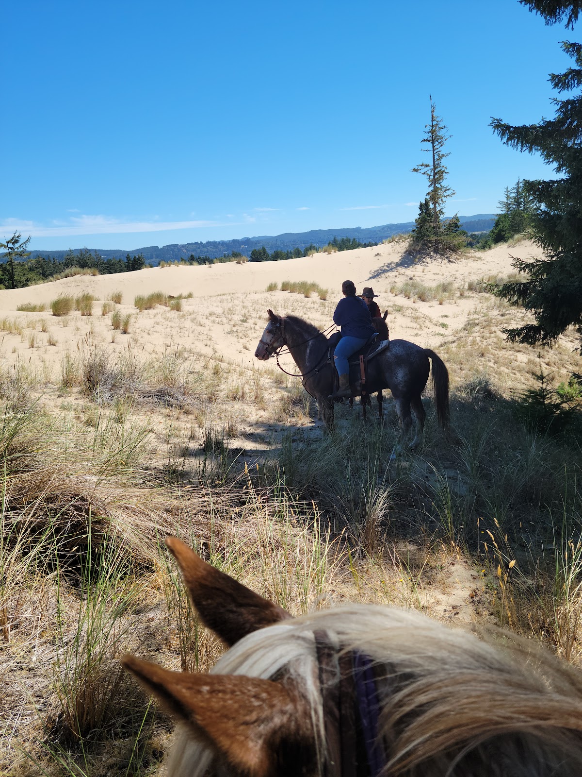 Wild Mare Campground