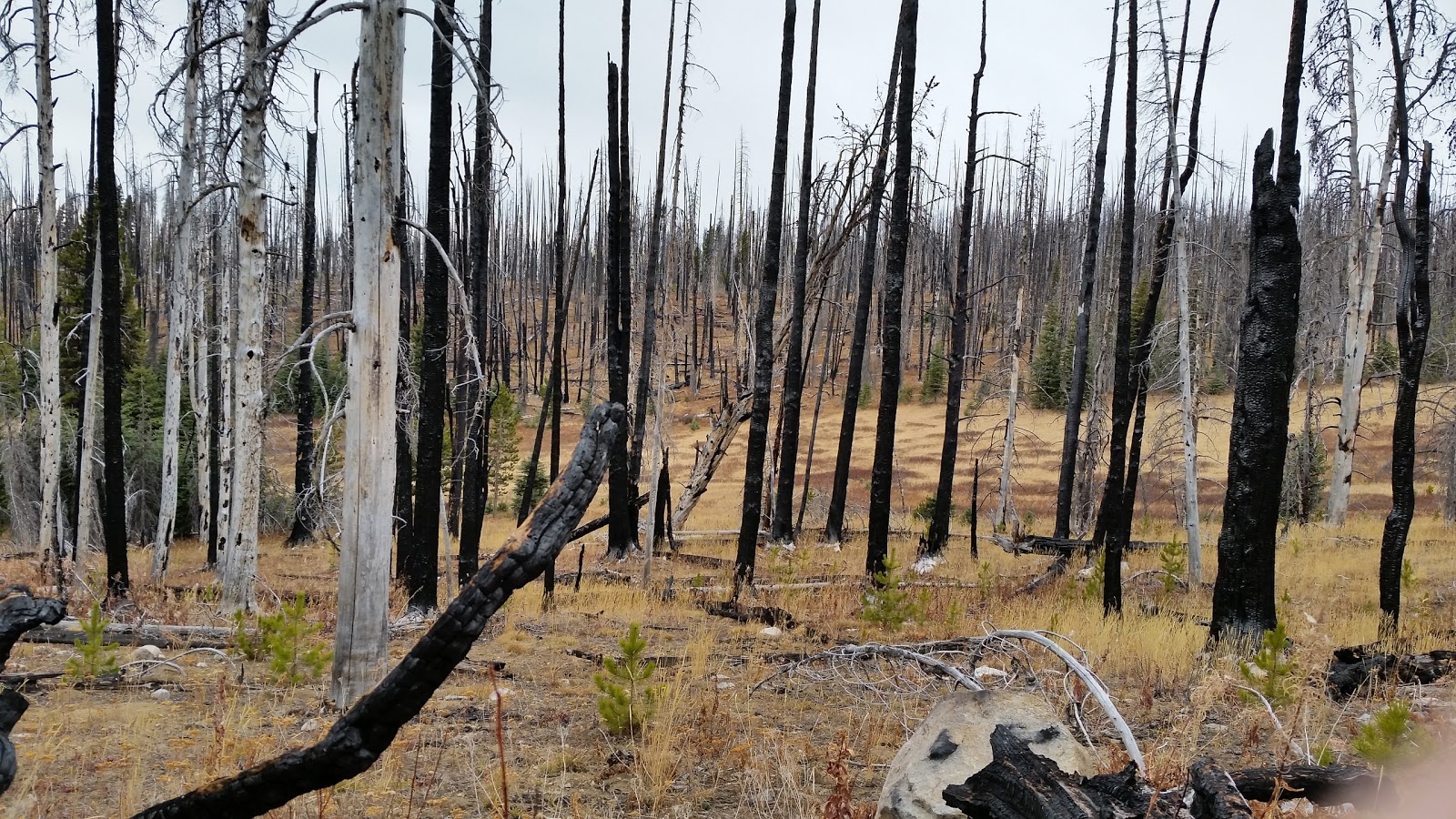 Tiffany Springs Campground