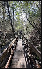 South Cumberland State Park