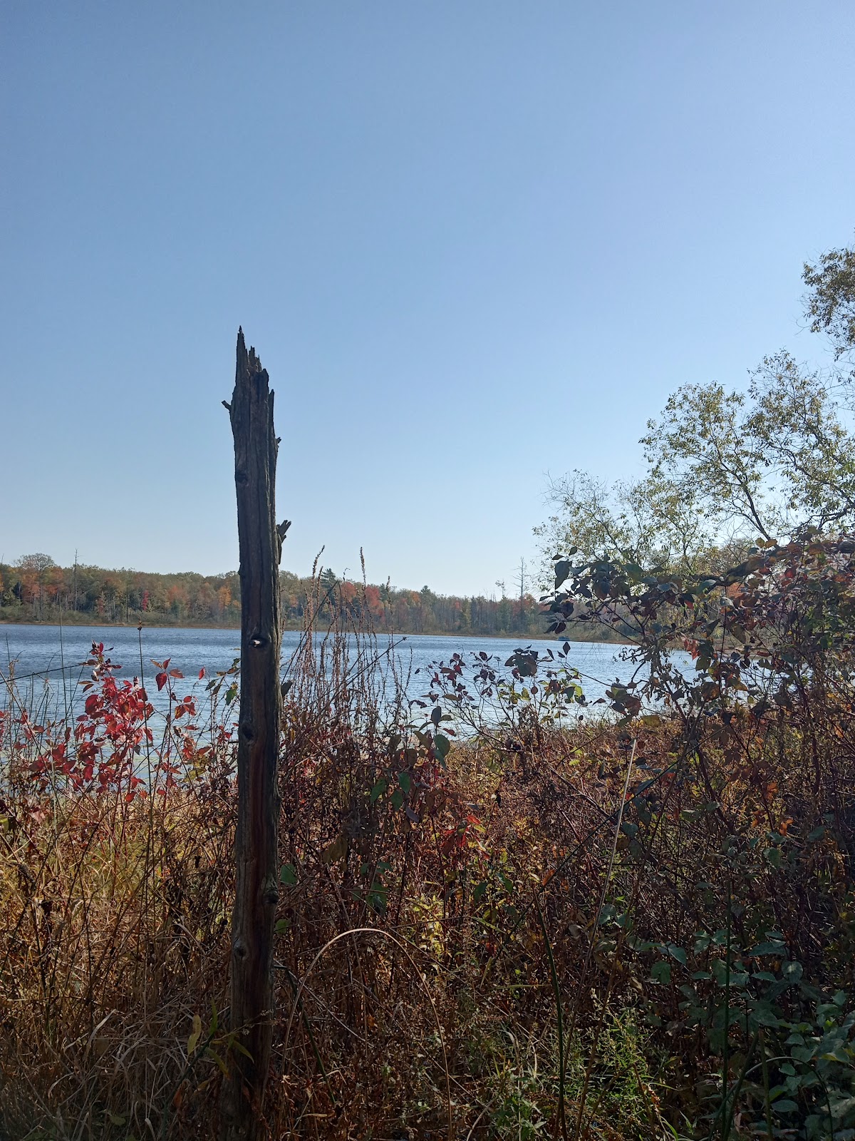 Shelley Lake Campground