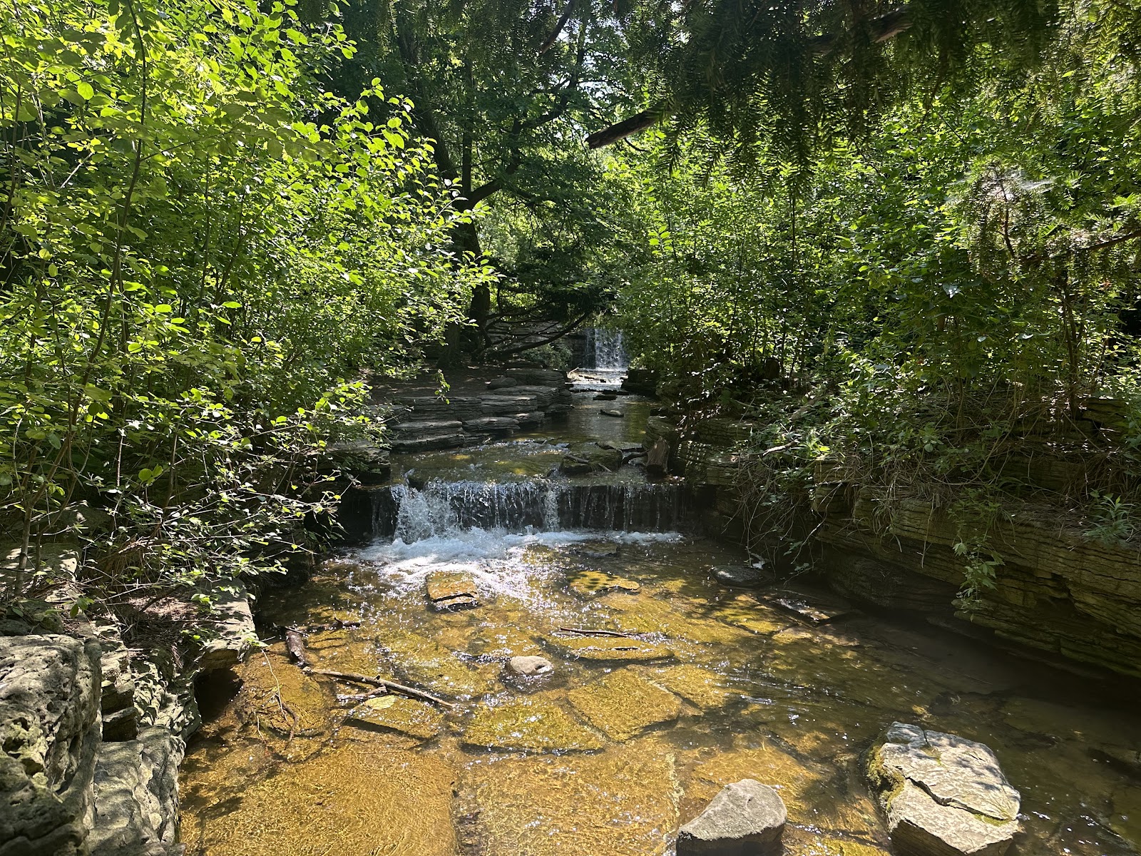 North Park Village Nature Center