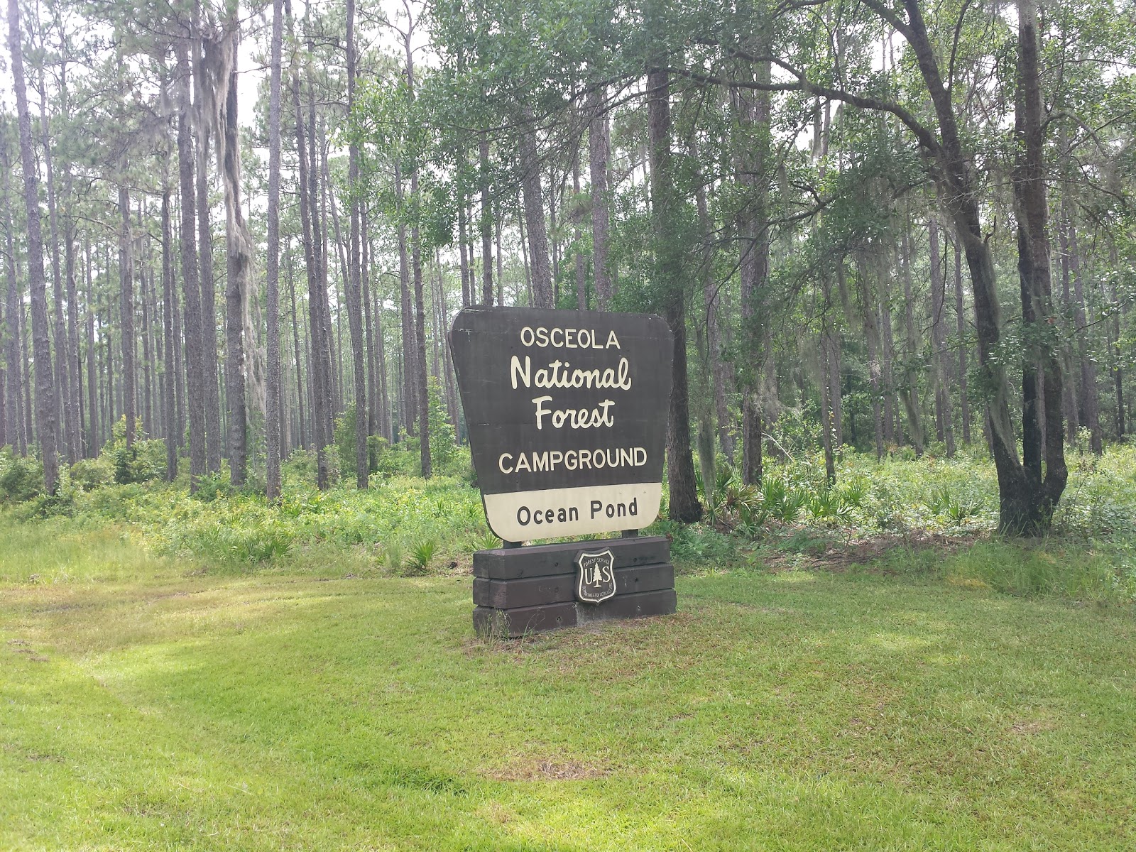 Ocean Pond NF Campground