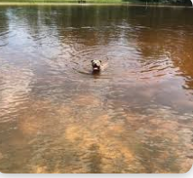 Double Lake Recreation Area