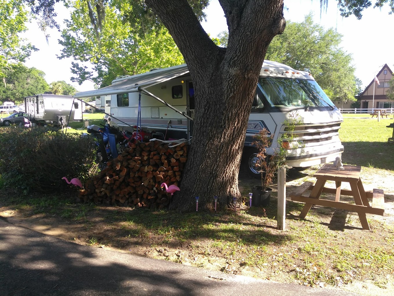 Ocala Forest Campground