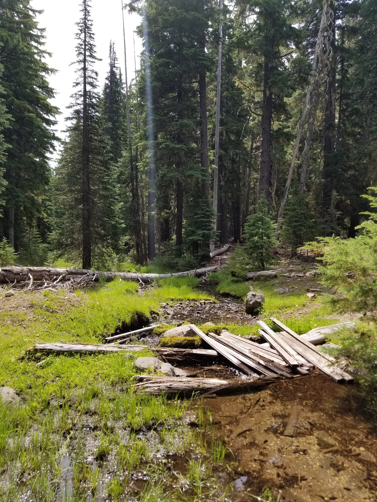 Quinn Meadow Horse Camp Campground