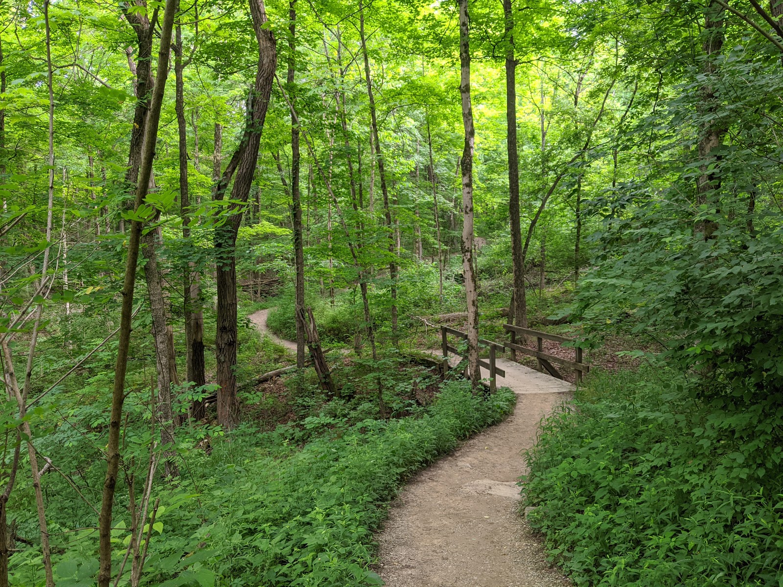 Miami Whitewater Forest County Park