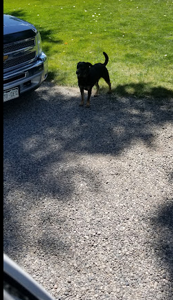 Mountain Valley Meadows RV Park