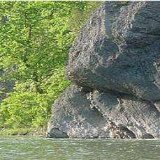 Milleson's Walnut Grove