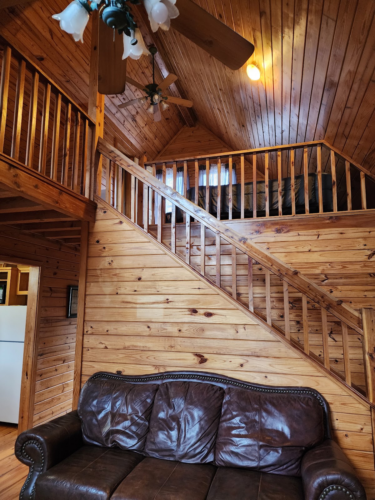 River View Cabins & Canoes