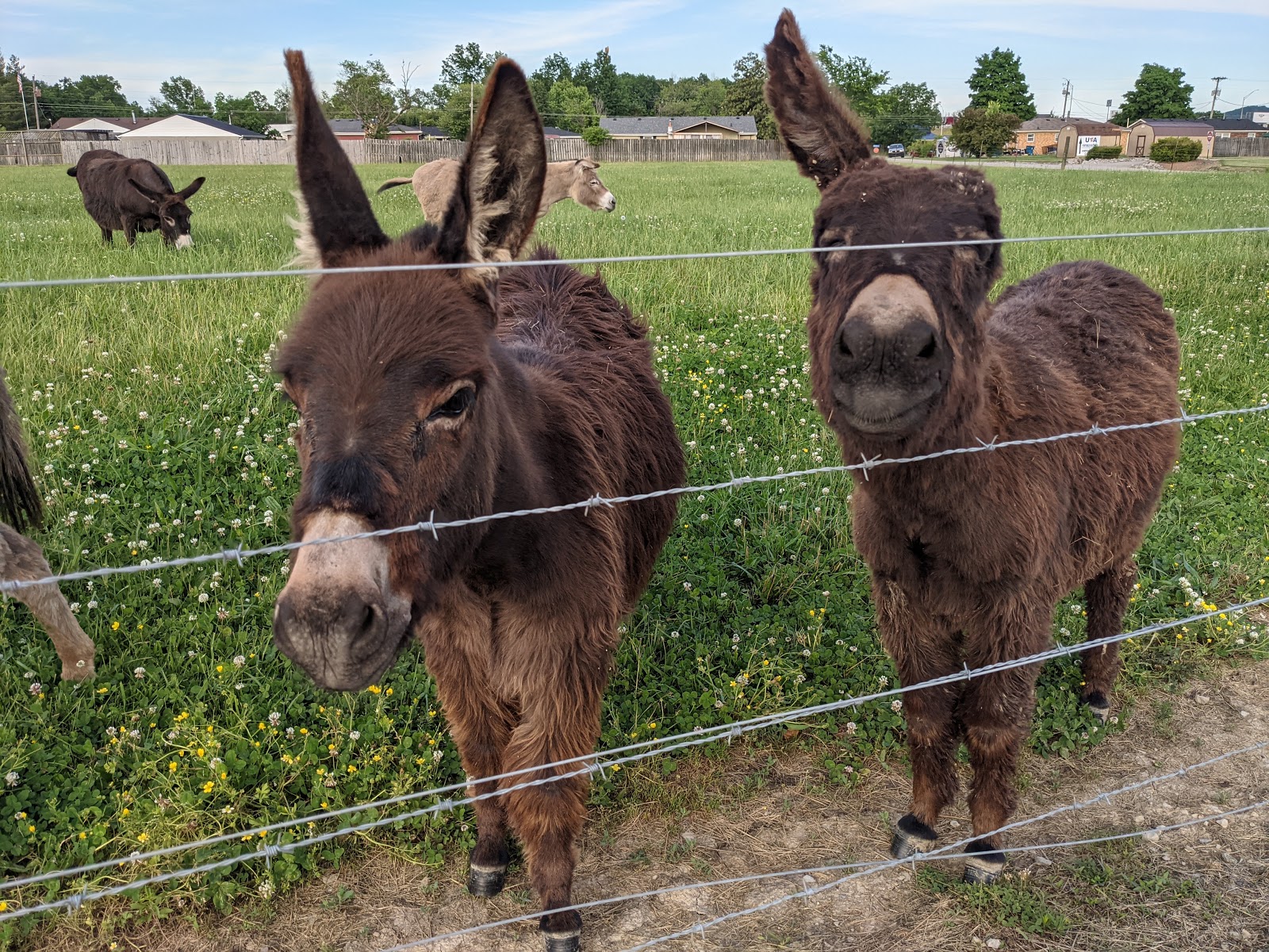 Grandma's RV Camping