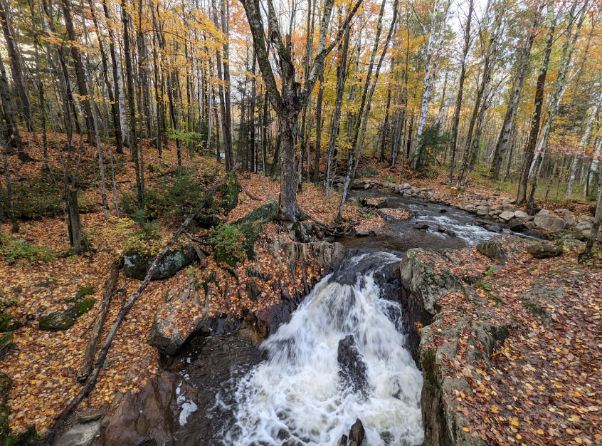 Gifford Woods State Park