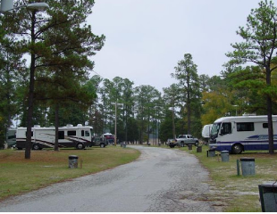Feathered Camp'n Acres